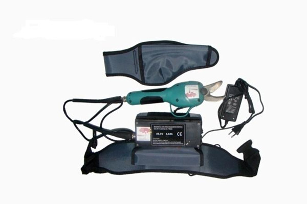 修枝剪电机转矩测试